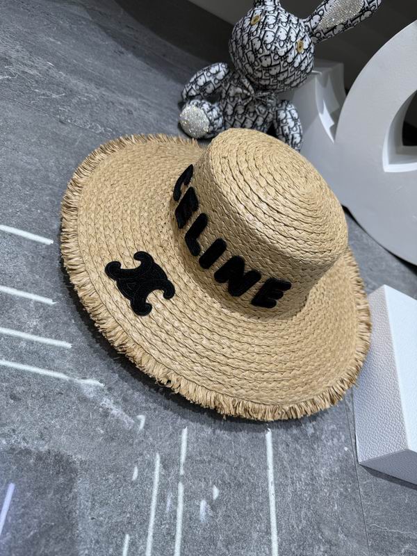 Celine top hat dx (1077)