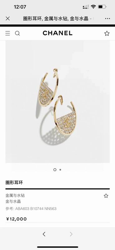 Chanel  Earring 03yxs367 (7)