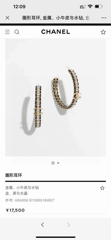 Chanel  Earring 04yxs58 (8)