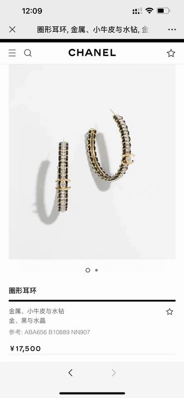 Chanel Earring 03yxs390 (8)