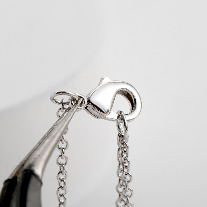 Chanel Necklace 02yxs09 (16)