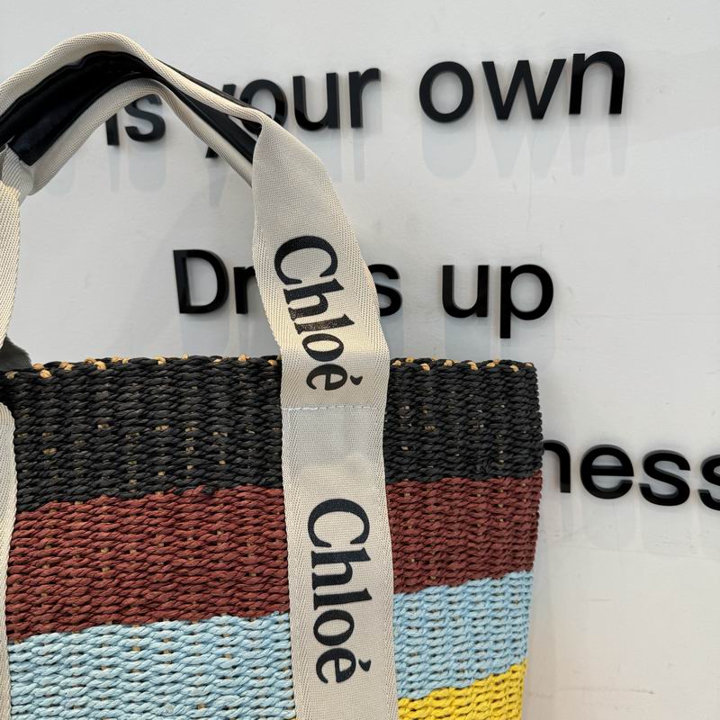 Chloe beach bag dx (24)