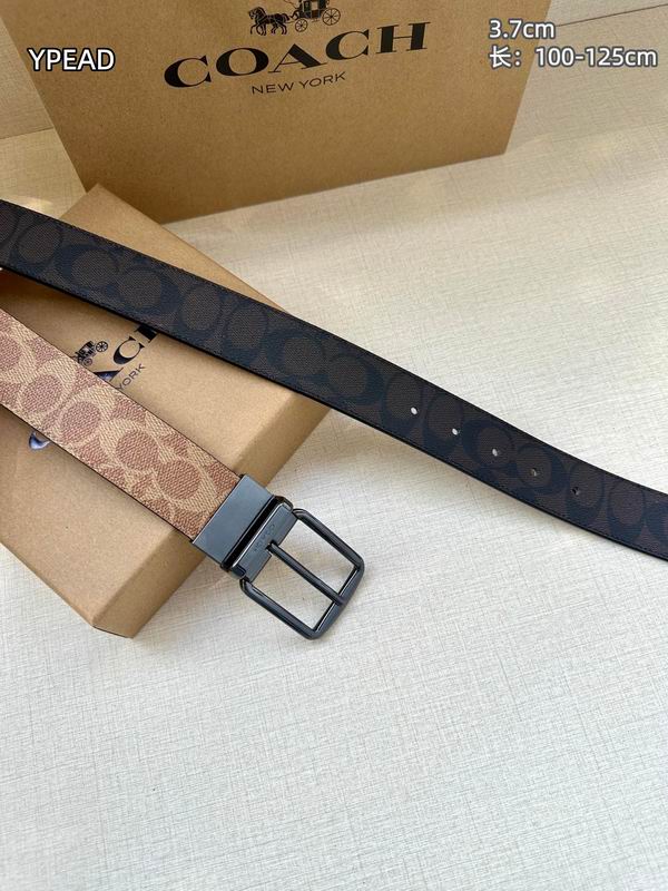 Coach belt 37mmX100-125cm 8L (20)