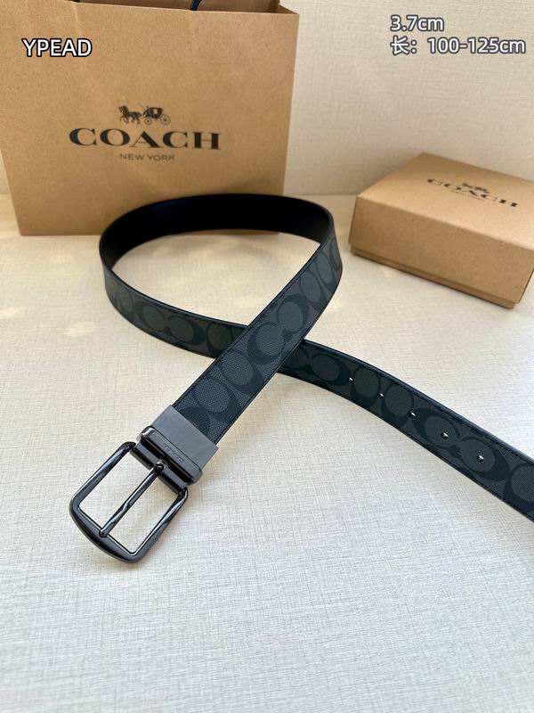 Coach belt 37mmX100-125cm 8L (30)