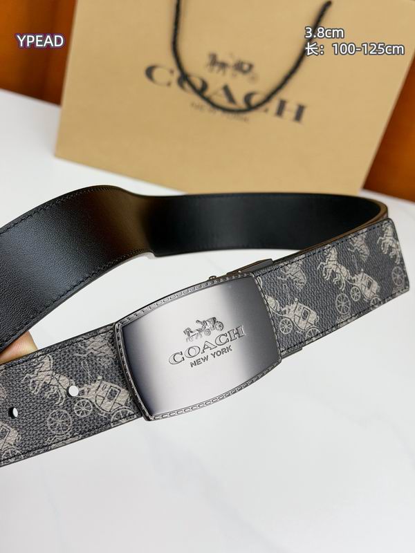 Coach belt 38mmX100-125cm 8L (10)