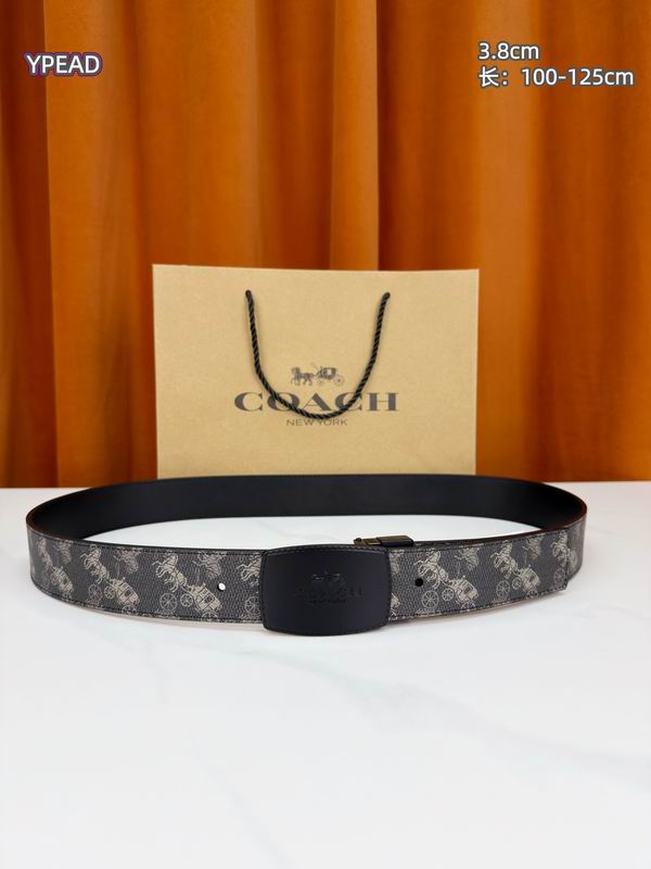 Coach belt 38mmX100-125cm 8L (21)