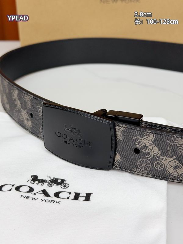 Coach belt 38mmX100-125cm 8L (22)