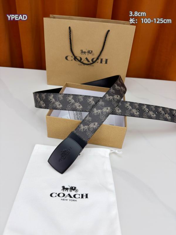 Coach belt 38mmX100-125cm 8L (23)