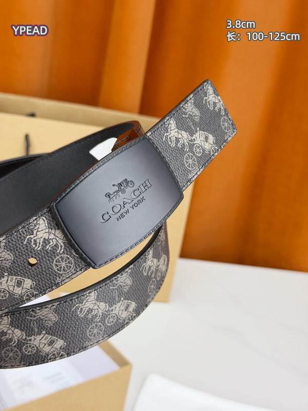 Coach belt 38mmX100-125cm 8L (24)