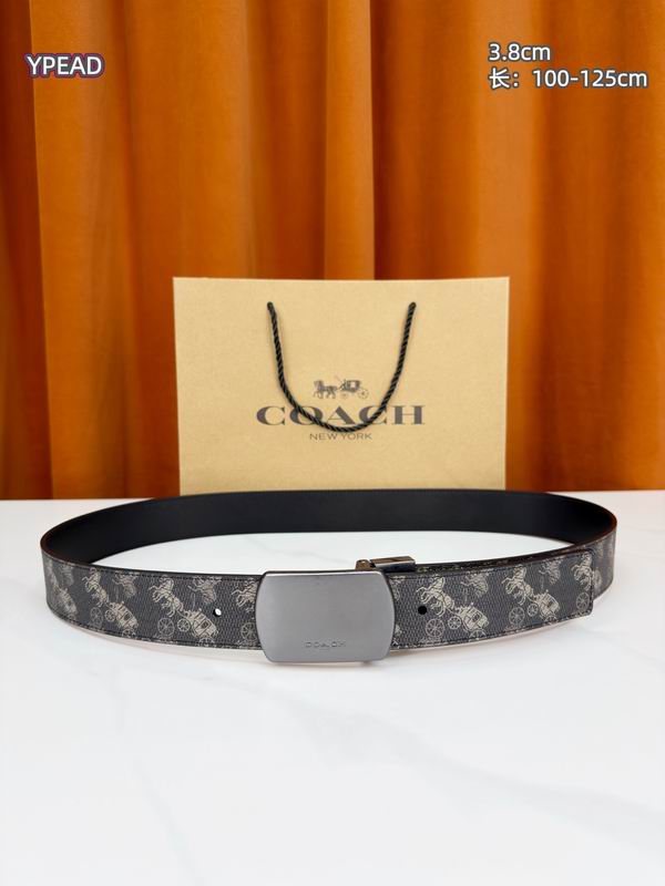 Coach belt 38mmX100-125cm 8L (25)