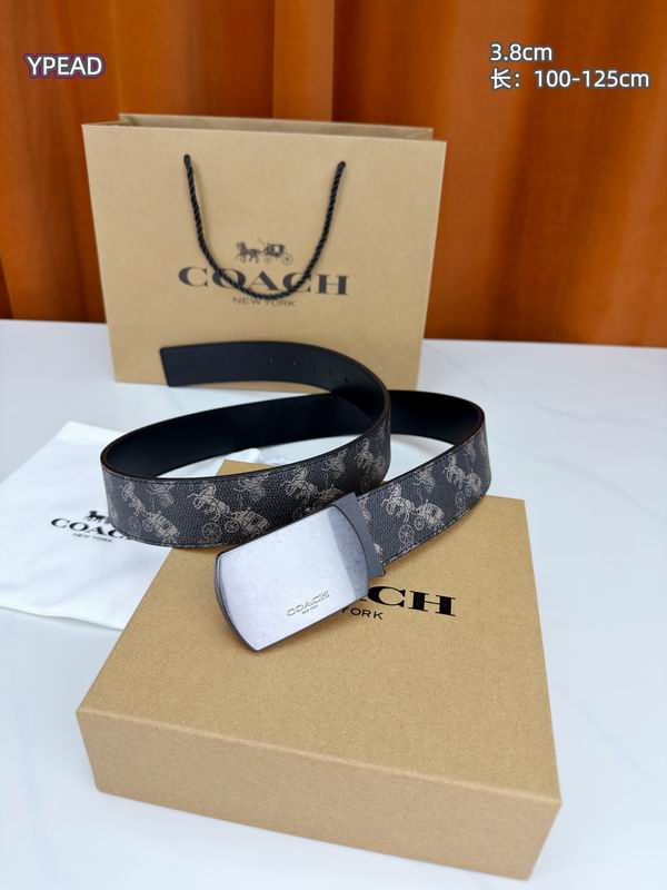 Coach belt 38mmX100-125cm 8L (26)