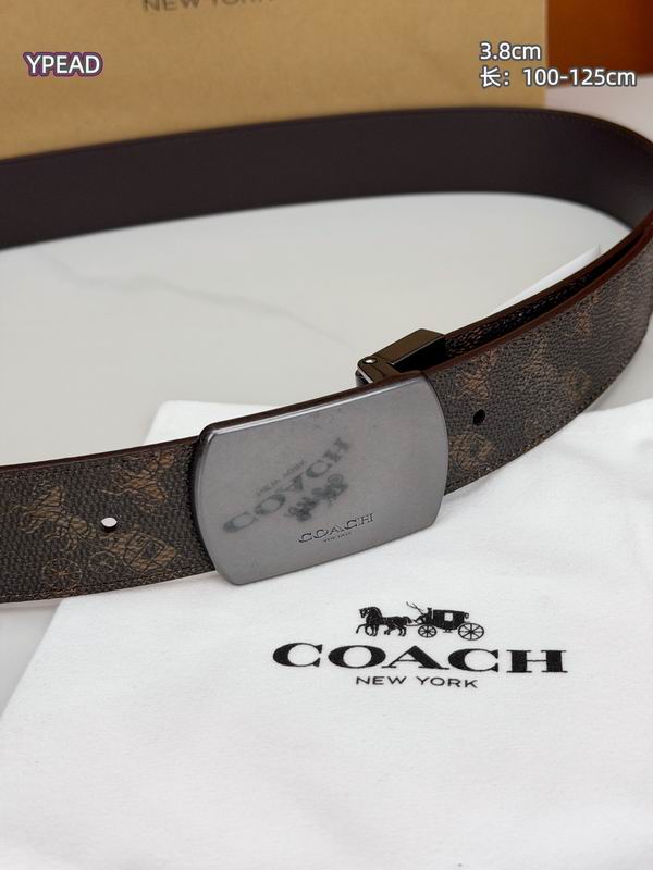 Coach belt 38mmX100-125cm 8L (30)