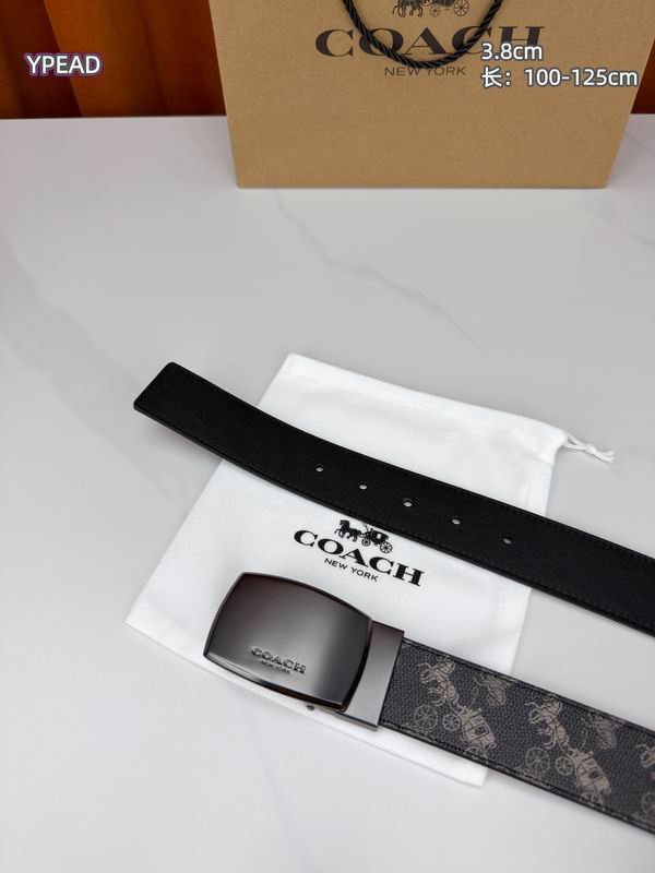 Coach belt 38mmX100-125cm 8L (36)