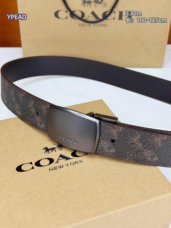 Coach belt 38mmX100-125cm 8L (38)