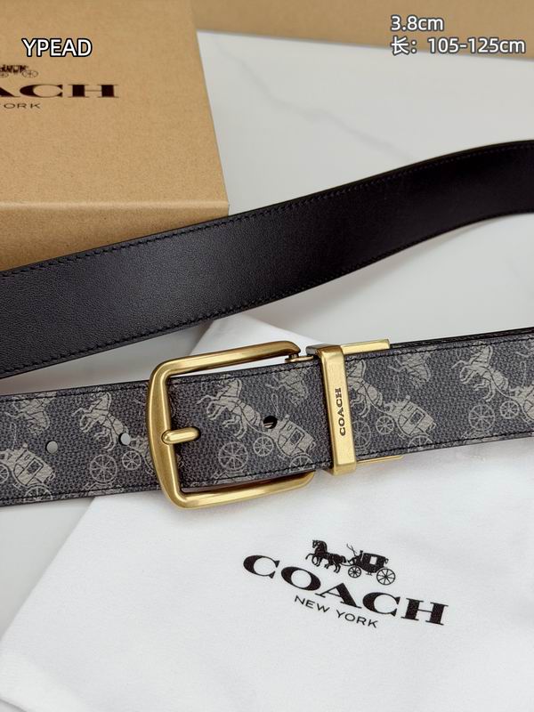 Coach belt 38mmX105-125cm 8L (10)