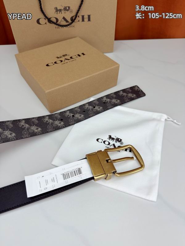 Coach belt 38mmX105-125cm 8L (12)
