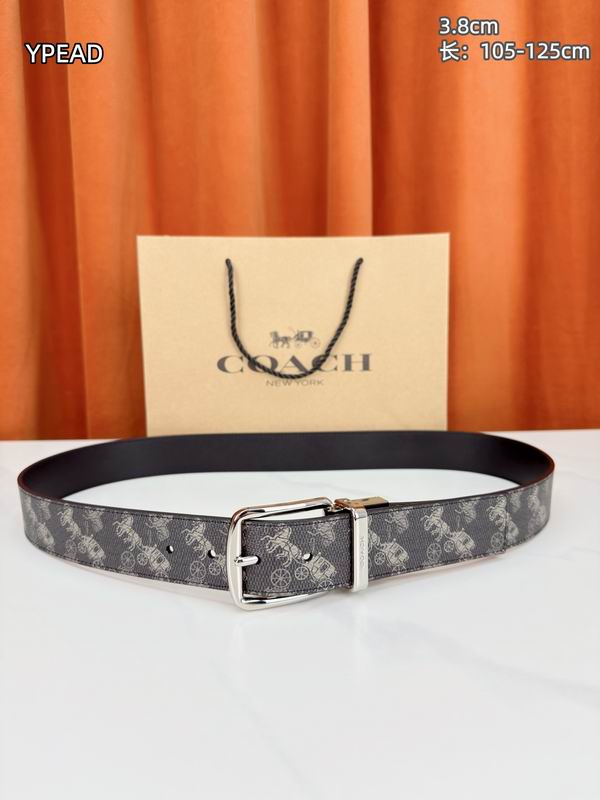 Coach belt 38mmX105-125cm 8L (21)