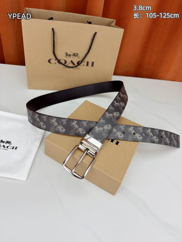 Coach belt 38mmX105-125cm 8L (24)