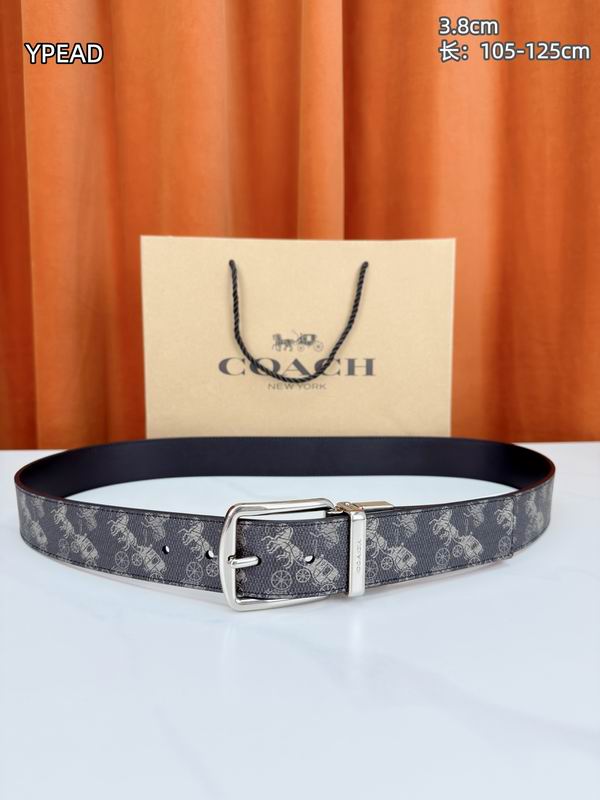 Coach belt 38mmX105-125cm 8L (5)