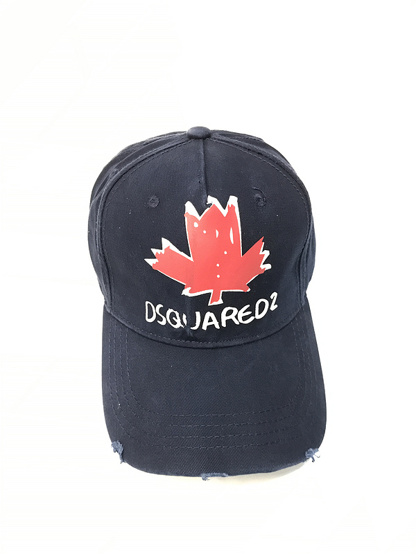 DSQ cap D25   (1)