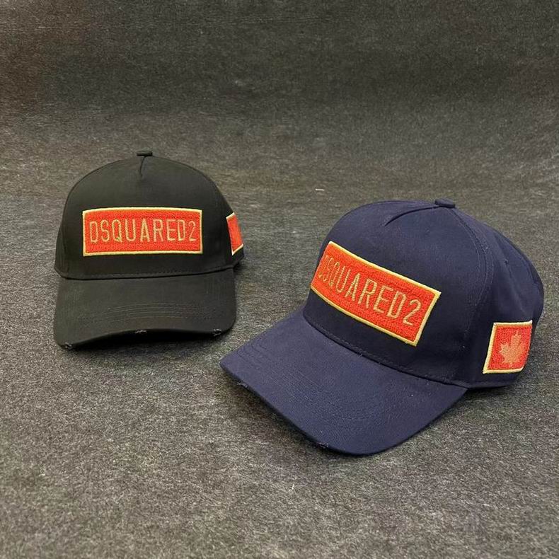 DSQ cap D250    (1)