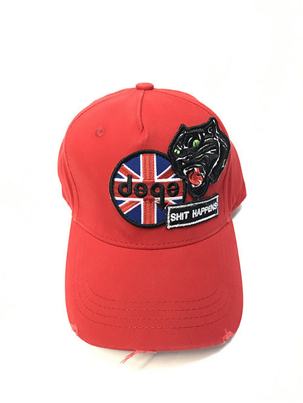 DSQ cap D71   (2)