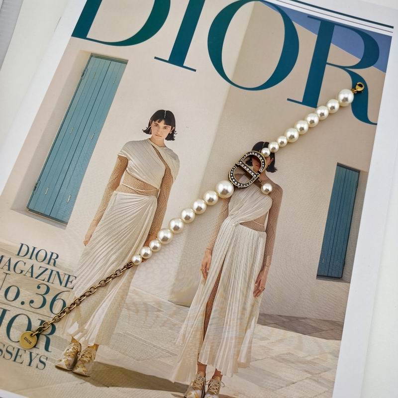 Dior Bracelet  02yxs17 (4)