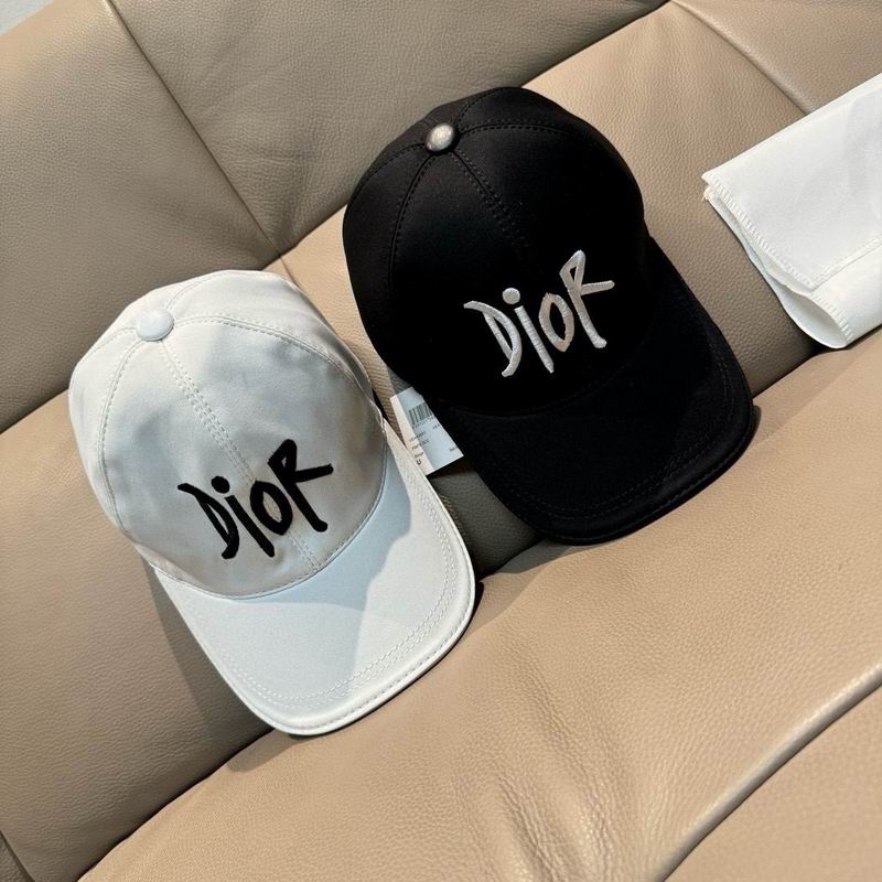 Dior Cap（高版本）dx (295)