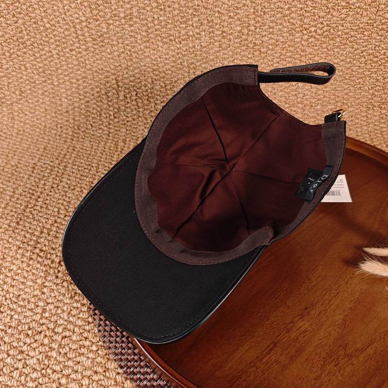 Dior Cap（高版本）dx (775)