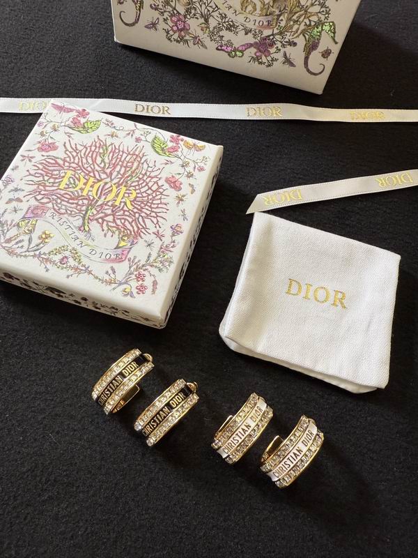 Dior Earring 02yxs01 (2)