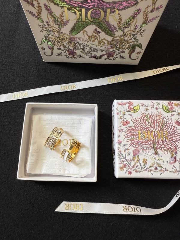 Dior Earring 02yxs01 (5)