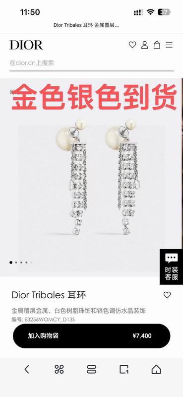 Dior Earring 02yxs04 (2)