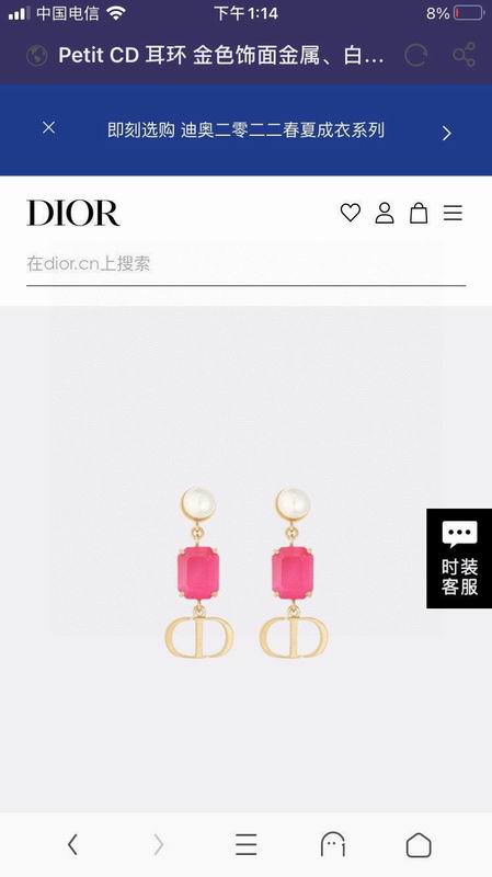 Dior Earring 02yxs04 (2)