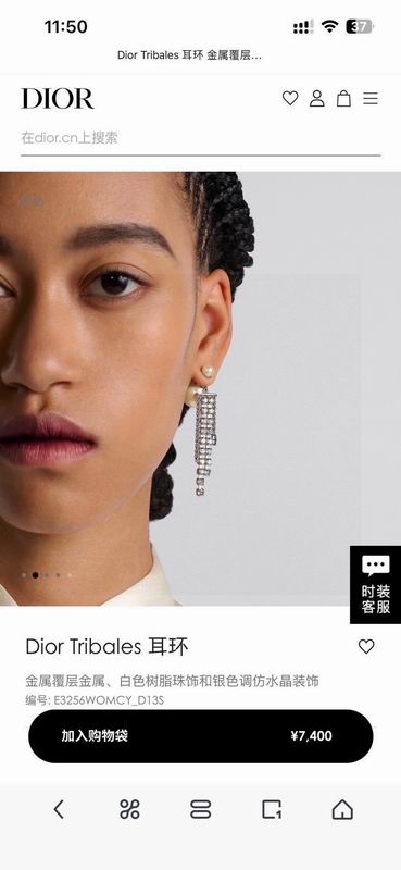 Dior Earring 02yxs04 (3)