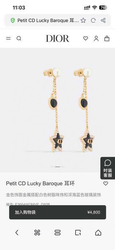 Dior Earring 02yxs05 (1)