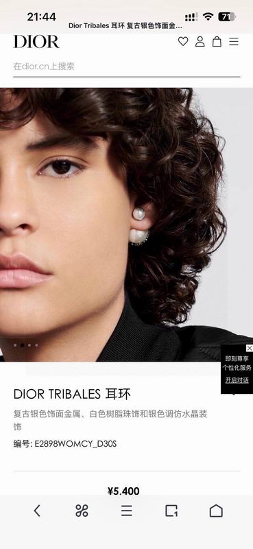 Dior Earring 02yxs08 (2)