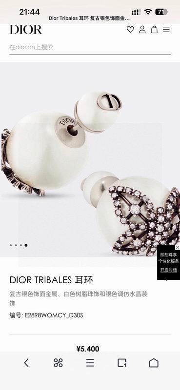 Dior Earring 02yxs08 (3)