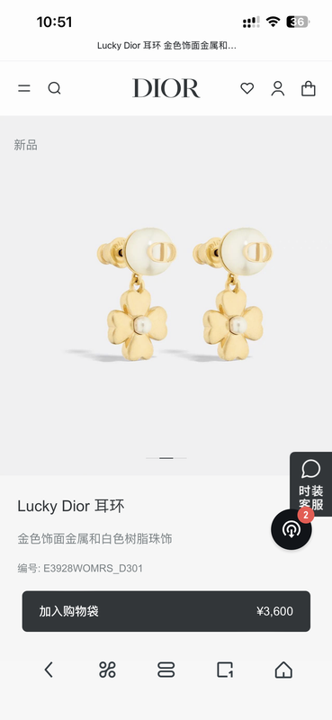 Dior Earring 02yxs10 (1)