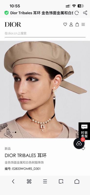 Dior Earring 02yxs13 (3)