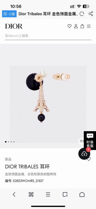 Dior Earring 02yxs16 (2)