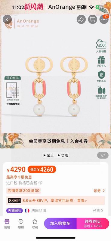 Dior Earring 02yxs17 (2)