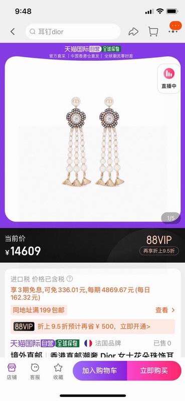 Dior Earring 02yxs24 (2)