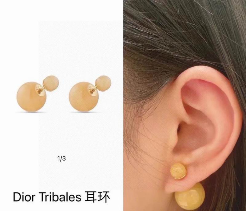 Dior Earring 02yxs26 (5)