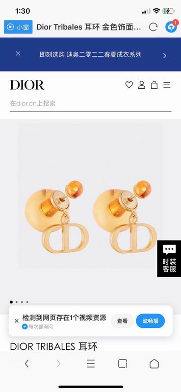 Dior Earring 02yxs32 (2)