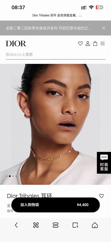 Dior Earring 02yxs68(1)