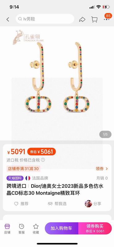 Dior Earring 02yxs70 (4)