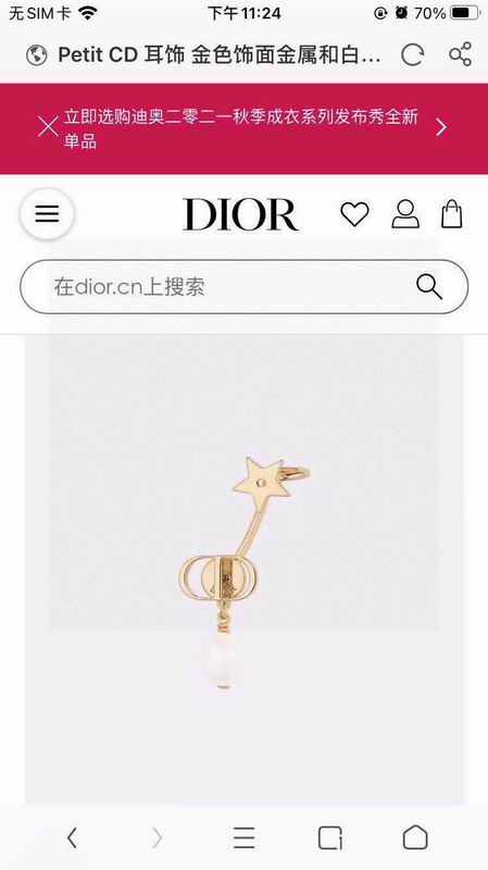 Dior Earring 02yxs71 (2)