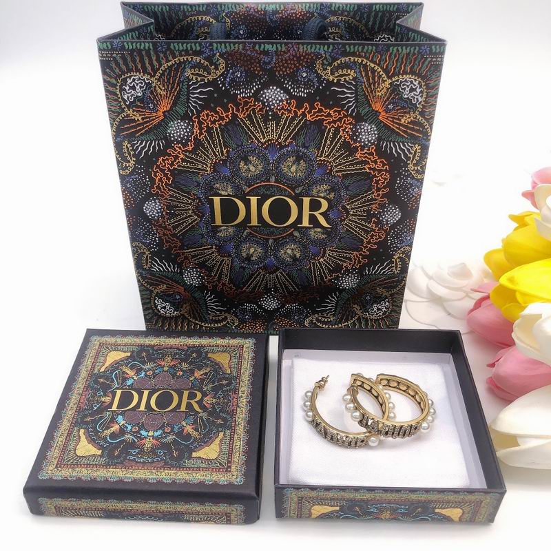 Dior Earring 03yxs100 (7)
