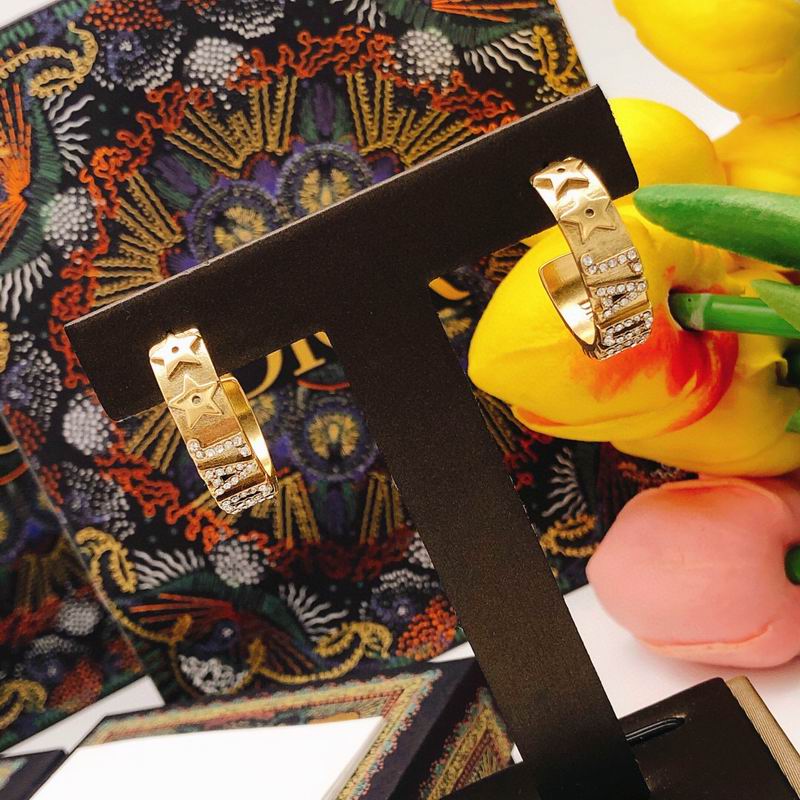 Dior Earring 03yxs128 (4)