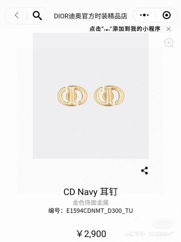 Dior Earring 03yxs189 (6)